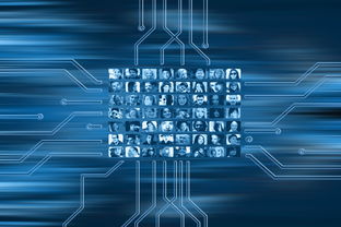 开云官网入口注册-NBA球队市场营销数字化转型实践探索，nba营销模式